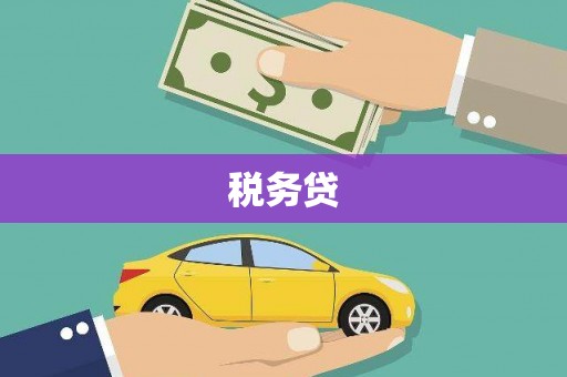 小金税务贷