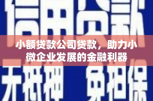 小金小额贷款公司贷款，助力小微企业发展的金融利器