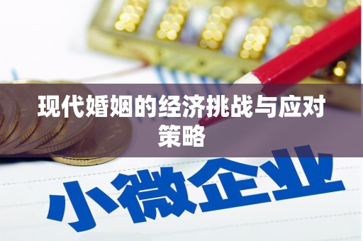 小金现代婚姻的经济挑战与应对策略