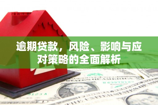 小金逾期贷款，风险、影响与应对策略的全面解析