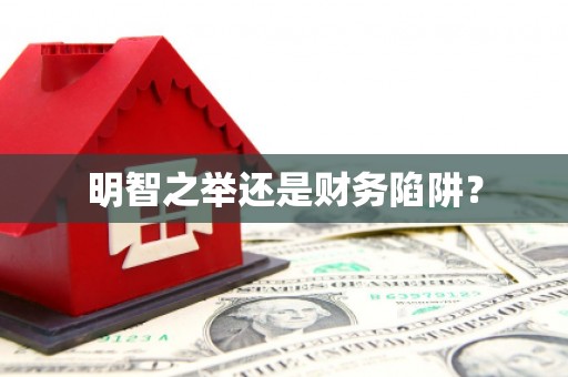 小金明智之举还是财务陷阱？