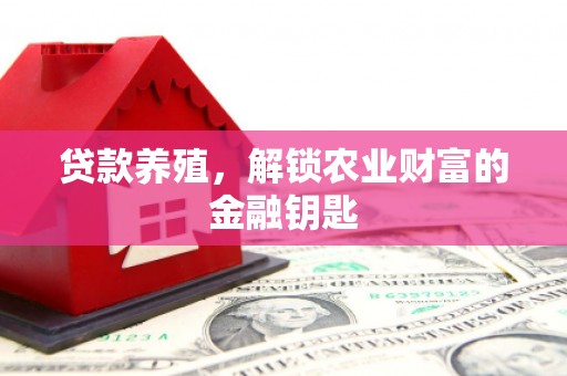 小金贷款养殖，解锁农业财富的金融钥匙