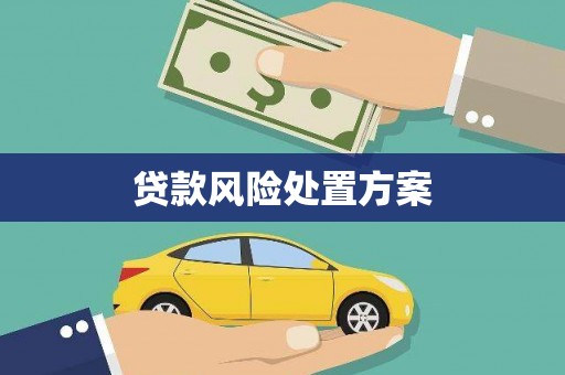 小金贷款风险处置方案