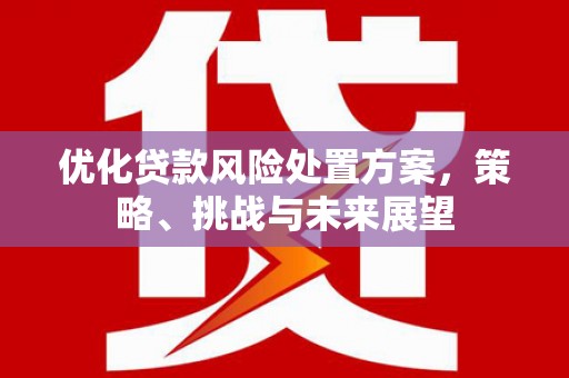 小金优化贷款风险处置方案，策略、挑战与未来展望