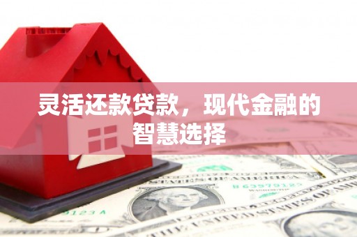 小金灵活还款贷款，现代金融的智慧选择