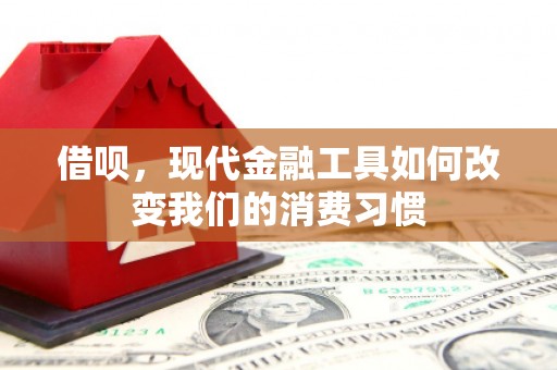 小金借呗，现代金融工具如何改变我们的消费习惯