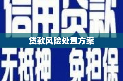 小金贷款风险处置方案
