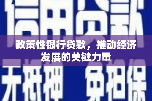 小金政策性银行贷款，推动经济发展的关键力量