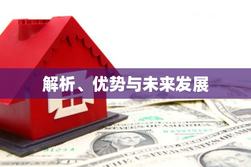 小金解析、优势与未来发展