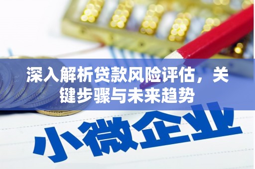 小金深入解析贷款风险评估，关键步骤与未来趋势