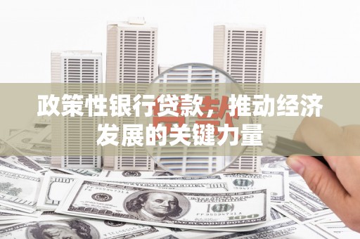 小金政策性银行贷款，推动经济发展的关键力量