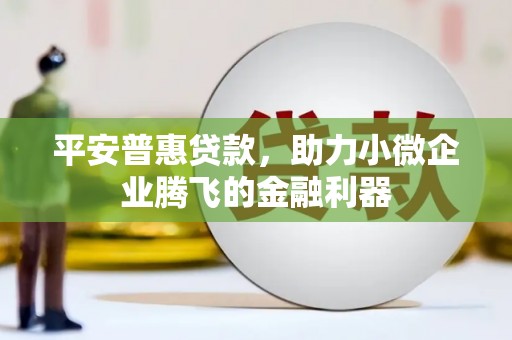 小金平安普惠贷款，助力小微企业腾飞的金融利器