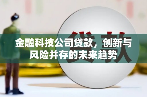 小金金融科技公司贷款，创新与风险并存的未来趋势