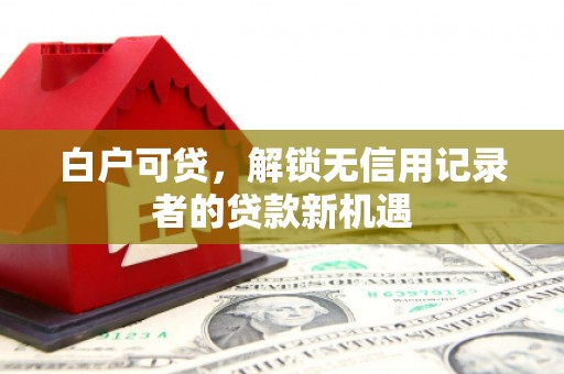 小金白户可贷，解锁无信用记录者的贷款新机遇