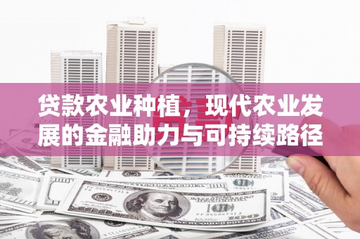小金贷款农业种植，现代农业发展的金融助力与可持续路径
