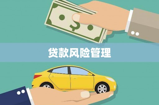 小金贷款风险管理