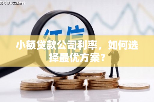 小金小额贷款公司利率，如何选择最优方案？