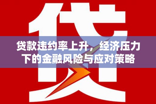 小金贷款违约率上升，经济压力下的金融风险与应对策略