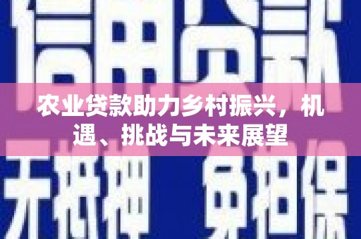 小金农业贷款助力乡村振兴，机遇、挑战与未来展望