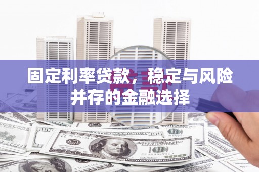 小金固定利率贷款，稳定与风险并存的金融选择