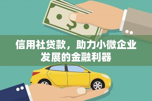 小金信用社贷款，助力小微企业发展的金融利器