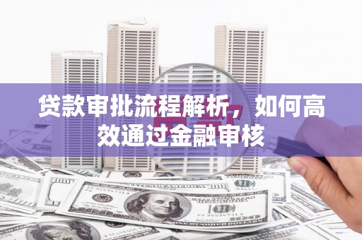 小金贷款审批流程解析，如何高效通过金融审核