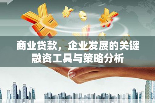 小金商业贷款，企业发展的关键融资工具与策略分析