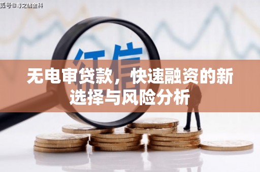 小金无电审贷款，快速融资的新选择与风险分析