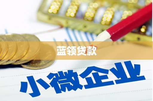小金蓝领贷款