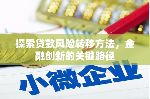 小金探索贷款风险转移方法，金融创新的关键路径