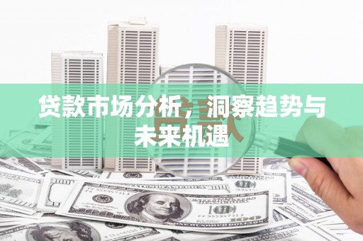 小金贷款市场分析，洞察趋势与未来机遇