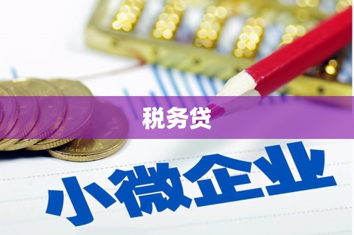 小金税务贷