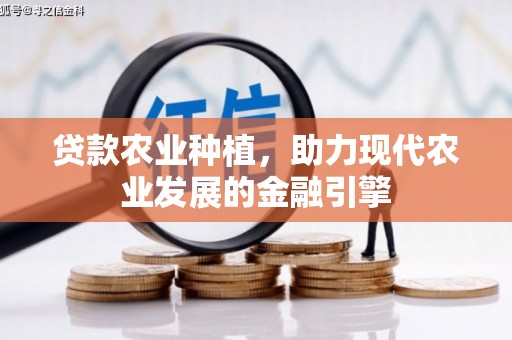 小金贷款农业种植，助力现代农业发展的金融引擎