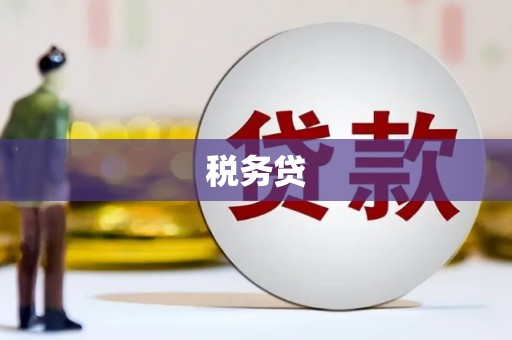 小金税务贷