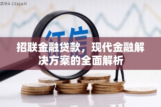 小金招联金融贷款，现代金融解决方案的全面解析