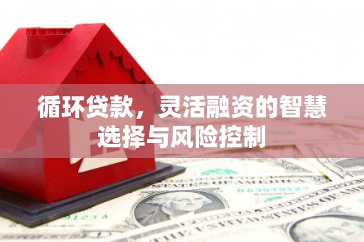 小金循环贷款，灵活融资的智慧选择与风险控制