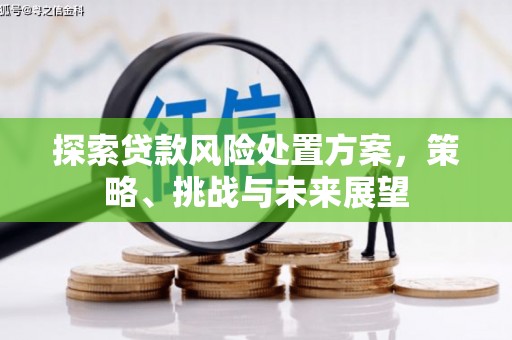 小金探索贷款风险处置方案，策略、挑战与未来展望
