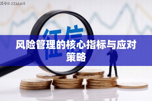 小金风险管理的核心指标与应对策略