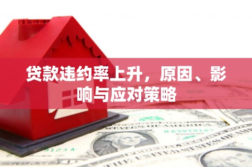 小金贷款违约率上升，原因、影响与应对策略