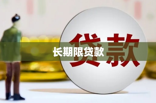 小金长期限贷款