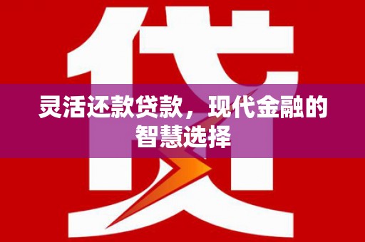 小金灵活还款贷款，现代金融的智慧选择