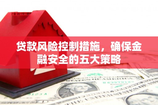 小金贷款风险控制措施，确保金融安全的五大策略