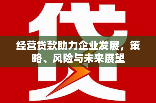 小金经营贷款助力企业发展，策略、风险与未来展望