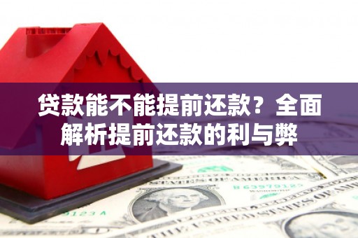 小金贷款能不能提前还款？全面解析提前还款的利与弊