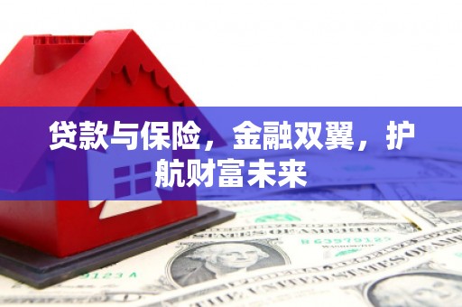 小金贷款与保险，金融双翼，护航财富未来