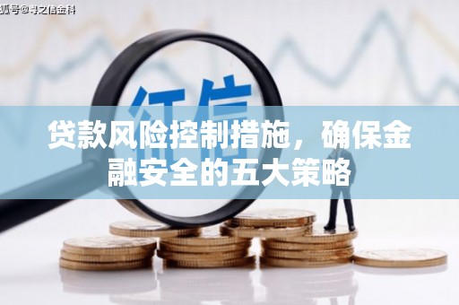 小金贷款风险控制措施，确保金融安全的五大策略