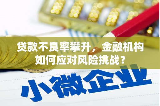 小金贷款不良率攀升，金融机构如何应对风险挑战？