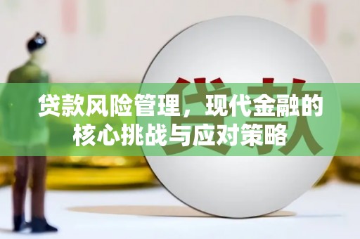 小金贷款风险管理，现代金融的核心挑战与应对策略
