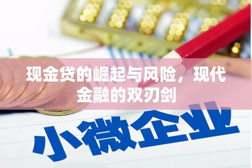 小金现金贷的崛起与风险，现代金融的双刃剑