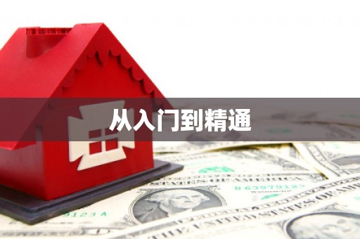 小金从入门到精通